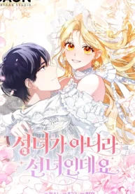 Ella No Es Una Santa, Sino Un Hada